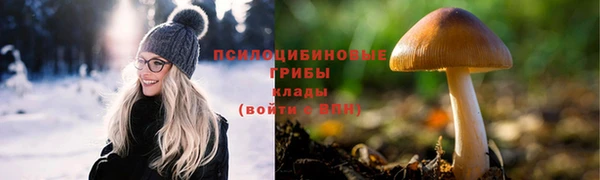 ГАЛЛЮЦИНОГЕННЫЕ ГРИБЫ Михайловск