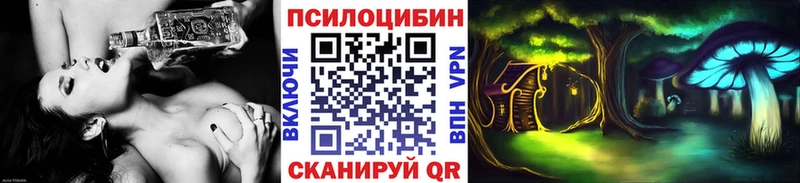 Купить  Красный Кут  Галлюциногенные грибы MAGIC MUSHROOMS 